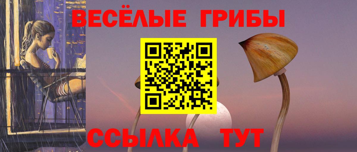 Рассказово  Галлюциногенные грибы мухоморы  Псилоцибиновые грибы GOLDEN TEACHER  Вход с VPN 