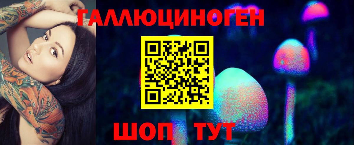 Псилоцибиновые грибы Cubensis Рассказово
